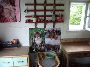 Zavarba ejtően hófehér lett és tiszta, napokig nem is mertem dolgozni, nehogy összemaszatoljam.