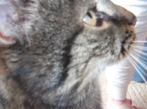 ....te figyu!..Asszem a doboz alján maradt a jutifalatom........