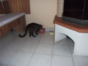 ...és most nem volt ám kihúzva! :)